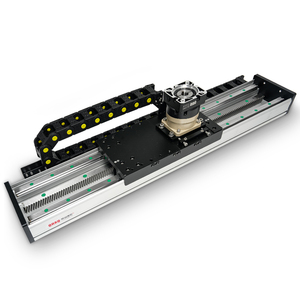 RXC175 Heavy Duty CNC Motorized XYZ Gantry Robot System